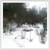 IBS approved fountain installer