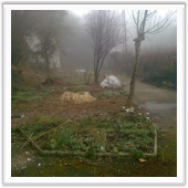 IBS approved fountain installer