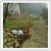 IBS approved fountain installer