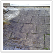 professional landscaping and design