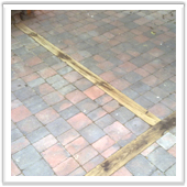 professional landscaping and design