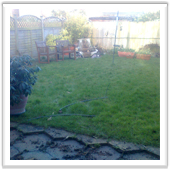 professional landscaping and design