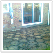 professional landscaping and design