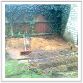 professional landscaping and design