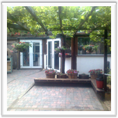 professional landscaping and design