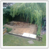 professional landscaping and design