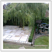 professional landscaping and design