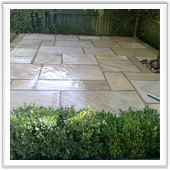 professional landscaping and design