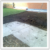 professional landscaping and design