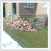 professional landscaping and design