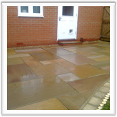 professional landscaping and design