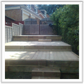 professional landscaping and design