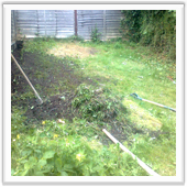 professional landscaping and design