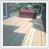 professional landscaping and design