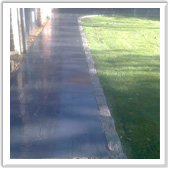 professional landscaping and design