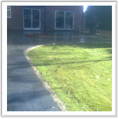 professional landscaping and design