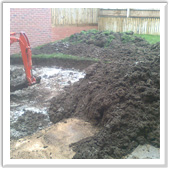 professional landscaping and design