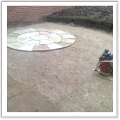 professional landscaping and design