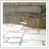 professional landscaping and design