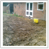 professional landscaping and design