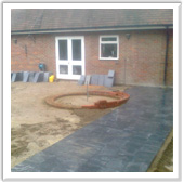 professional landscaping and design