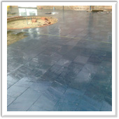 professional landscaping and design