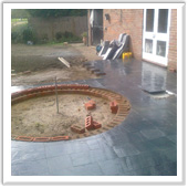 professional landscaping and design