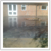 professional landscaping and design