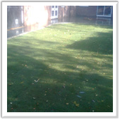 professional landscaping and design