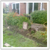 professional landscaping and design