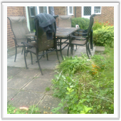 professional landscaping and design