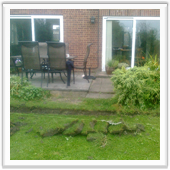 professional landscaping and design