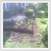 professional landscaping and design