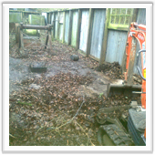 Victorian Well House Refurbishment